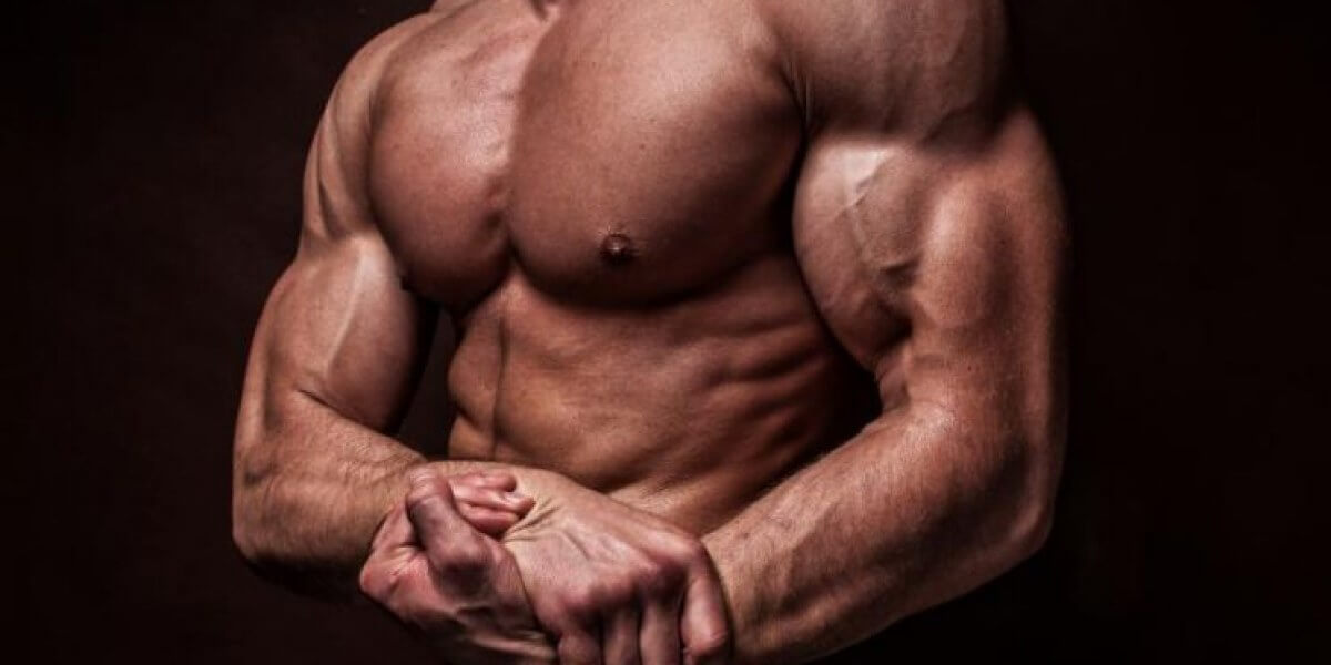 The New Legal Steroids For Sale - How Well Do They Work ?